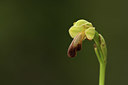 BUITEN BEELD Foto: 412784