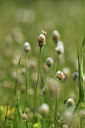 BUITEN BEELD Foto: 412788