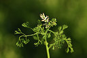 BUITEN BEELD Foto: 412826