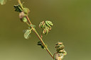 BUITEN BEELD Foto: 412869