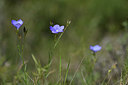 BUITEN BEELD Foto: 412872