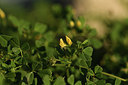 BUITEN BEELD Foto: 412873