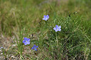 BUITEN BEELD Foto: 412876