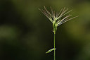 BUITEN BEELD Foto: 412879