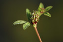 BUITEN BEELD Foto: 412881