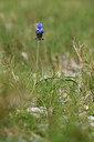 BUITEN BEELD Foto: 412887