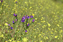 BUITEN BEELD Foto: 412894