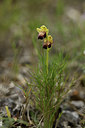 BUITEN BEELD Foto: 412896