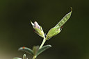 BUITEN BEELD Foto: 412897