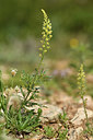 BUITEN BEELD Foto: 412900