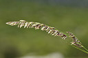 BUITEN BEELD Foto: 412905