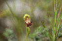BUITEN BEELD Foto: 412919