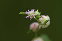 BUITEN BEELD Foto: 412921