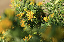 BUITEN BEELD Foto: 412924