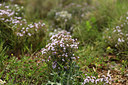 BUITEN BEELD Foto: 412932