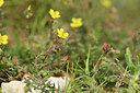 BUITEN BEELD Foto: 412934