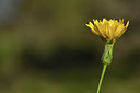 BUITEN BEELD Foto: 412981