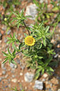 BUITEN BEELD Foto: 412984