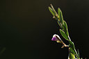 BUITEN BEELD Foto: 412993