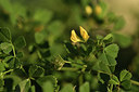 BUITEN BEELD Foto: 412996