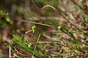 BUITEN BEELD Foto: 412997