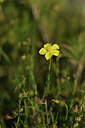BUITEN BEELD Foto: 412999