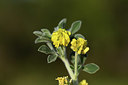 BUITEN BEELD Foto: 413003