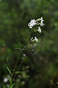 BUITEN BEELD Foto: 413014