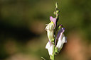 BUITEN BEELD Foto: 413016