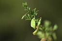 BUITEN BEELD Foto: 413045