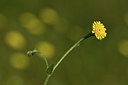BUITEN BEELD Foto: 413050