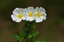 BUITEN BEELD Foto: 413061