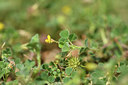 BUITEN BEELD Foto: 413063