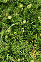 BUITEN BEELD Foto: 413082
