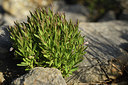 BUITEN BEELD Foto: 413089