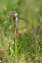 BUITEN BEELD Foto: 413098
