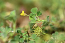 BUITEN BEELD Foto: 413103