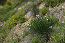 BUITEN BEELD Foto: 413106