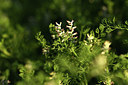 BUITEN BEELD Foto: 413108