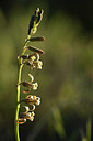 BUITEN BEELD Foto: 413125