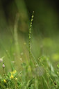 BUITEN BEELD Foto: 413145