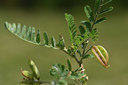 BUITEN BEELD Foto: 413152