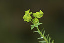 BUITEN BEELD Foto: 413158