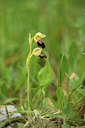 BUITEN BEELD Foto: 413168