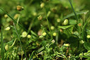 BUITEN BEELD Foto: 413186