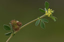 BUITEN BEELD Foto: 413198