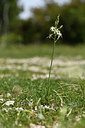BUITEN BEELD Foto: 413200