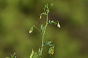 BUITEN BEELD Foto: 413205
