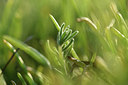 BUITEN BEELD Foto: 413221