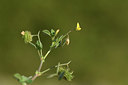 BUITEN BEELD Foto: 413223